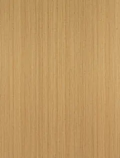艾麗絲4尺餐桌(大) 2